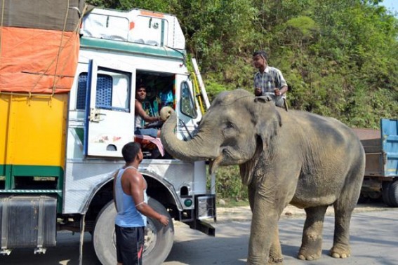 NH-44 resumes operation NH-44 resumes operation